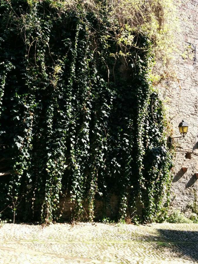 Appartamento Honey House Parma Esterno foto